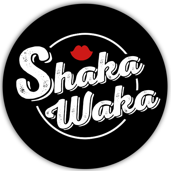 Shaka Waka groupe de reprises spécialisé dans un concept de blind test live